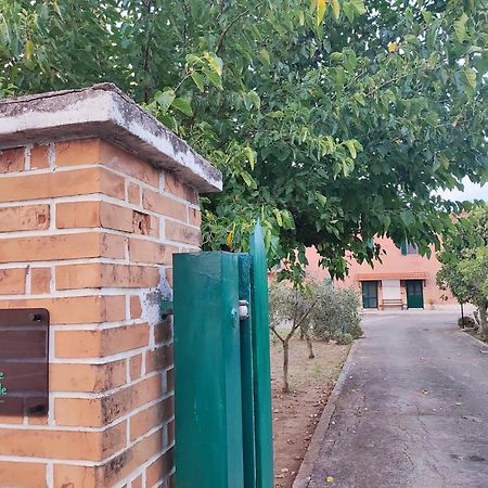 Eco House San Michele Hostel Borgo San Michele  Exterior photo