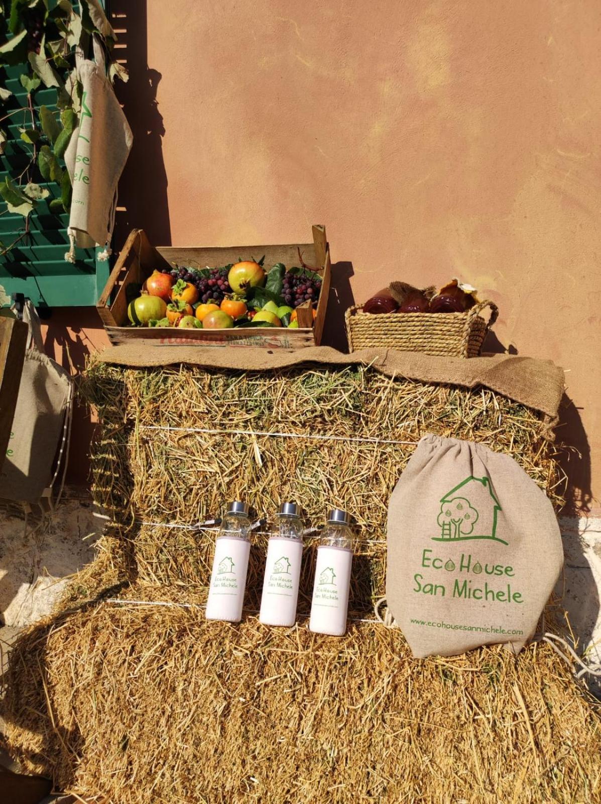 Eco House San Michele Hostel Borgo San Michele  Exterior photo